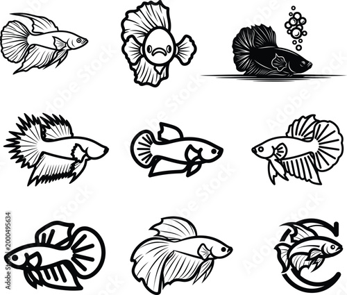 Black and white illustrations of various betta fish breeds and poses