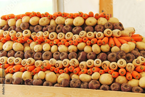 An Artistic Display of Freshly Harvested Root Vegetables.