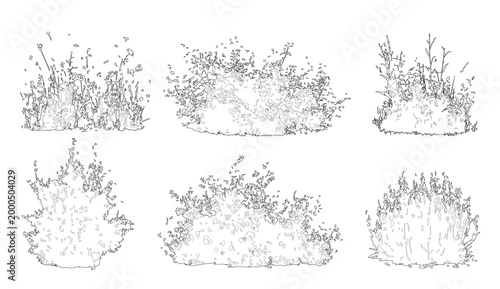 Set of shrubs, bushes and flowers in elevation view for use in architectural drawings - isolated on transparent background