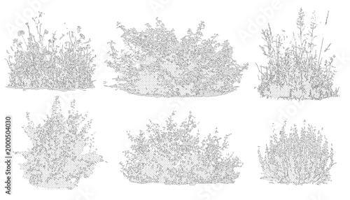Vector set of shrubs, bushes and flowers in elevation view for use in architectural drawings