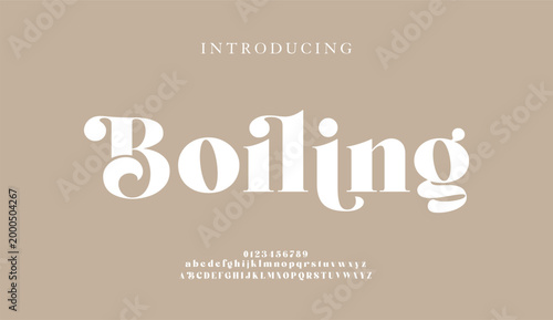 Modern fashion typography typeface uppercase lowercase. vector illustration