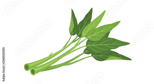 A fresh bundle of vibrant green water spinach, also known as kangkong, a popular leafy vegetable widely used in Asian cooking.