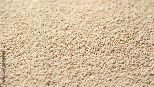 A high-angle macro shot of Active dry yeast