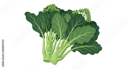 A fresh bundle of vibrant green gai lan, also known as Chinese broccoli, showcasing its thick stems and small florets, ideal for Asian cooking.