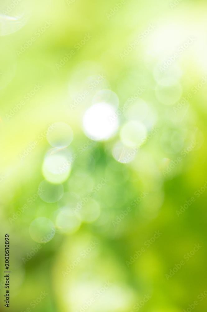 Obraz premium 縦構図 ぼやけた光と玉ボケ 緑色の背景 Vertical composition, blurred light and bokeh, green background.