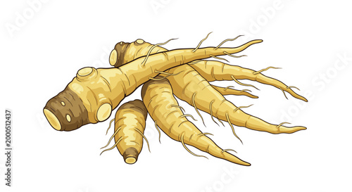 A freshly harvested pile of parsnips, showing their earthy, cream-colored tapered roots, a sweet and versatile winter vegetable.