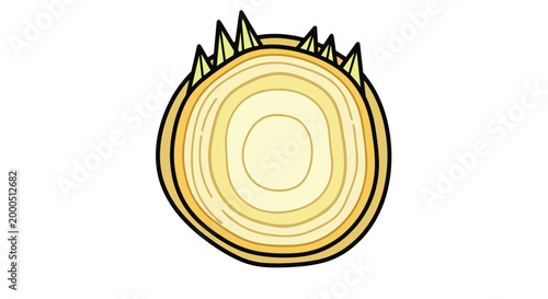Circular cross-section of an onion bulb base with roots, displaying concentric layers and natural textures, ready for culinary preparation.