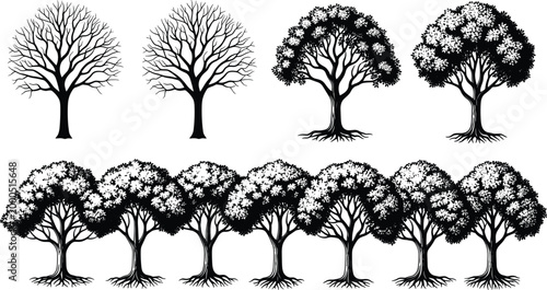 фотографія Detailed Hand Drawn Tree Collection Featuring Oak Silhouettes With Full Leaves B