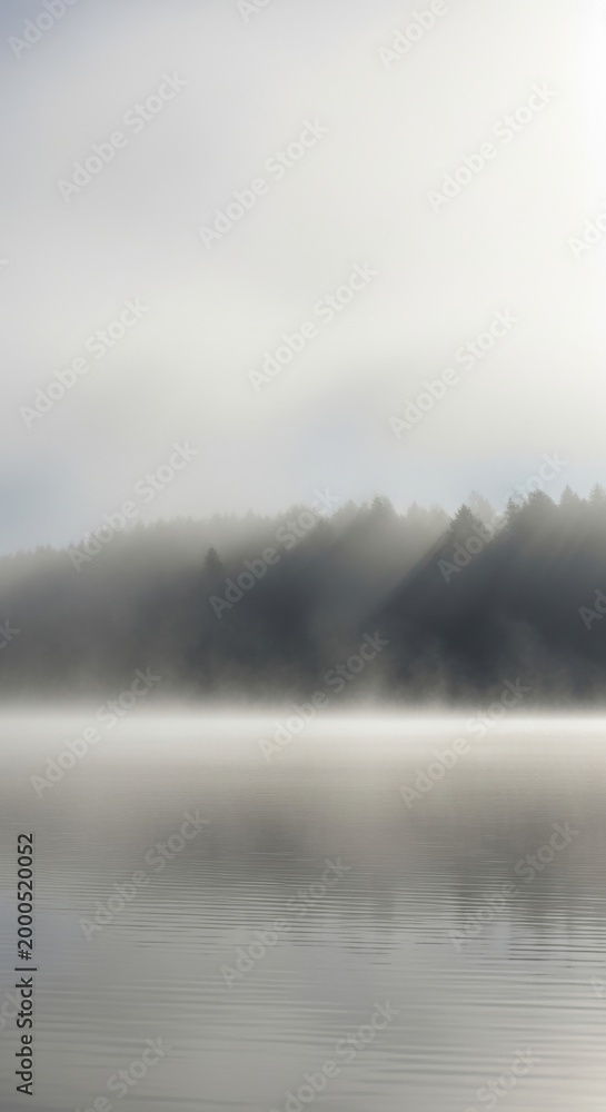 Fototapeta premium Dense Fog Rolling Over a Serene Forest Lake