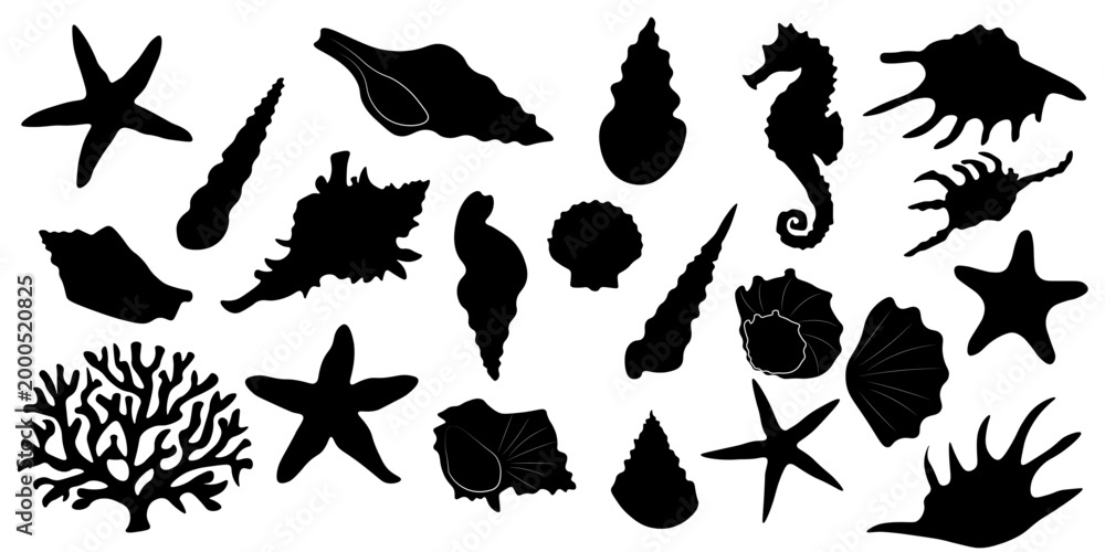 Fototapeta premium Collection of sea shells, starfish, coral and seahorse silhouettes isolated on white background. Perfect for marine design, beach themes, summer projects, logos, patterns and decorations.