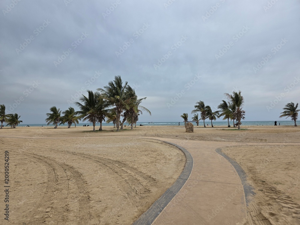 Fototapeta premium Scenic Royal Commission Beach Yanbu Saudi Arabia Coastal Landscape. In the evening, the sea and trees create a lovely view.
