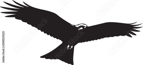 Kite with bows, vector or color illustration