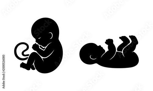 Human Fetus and Newborn Silhouette Icon