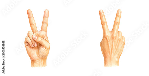 A charming watercolor set of peace sign hands featuring front and back hand gestures with soft skin tones and delicate anatomical details illustrated in a natural realistic style.