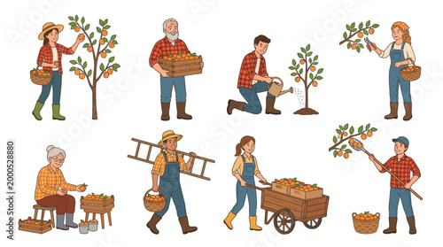 Hardworking farmers harvesting ripe fruit from trees and carrying wooden crates in an organized collection of illustrations showing various daily agriculture labor tasks