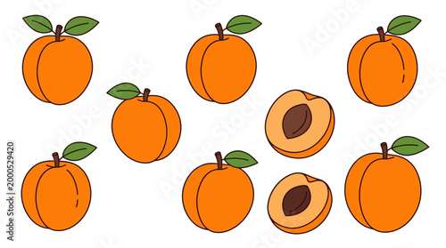 A collection of bright orange apricots shown whole and halved with green leaves on white background