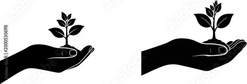 Hands nurturing seedlings a symbol of growth and environmental stewardship