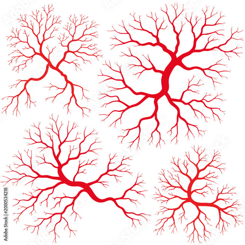 Red branching organic vector illustration neurological pathways blood vessels tree