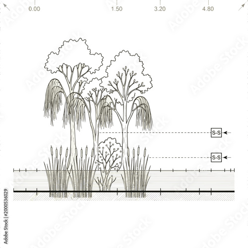 Create a realistic kinds of deferent Minimal style cad tree line drawing, Side view, set of graphics trees elements outline symbol for architecture and landscape design drawing. Tropical, vector art.