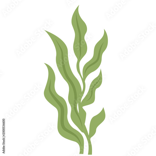 Green long seaweed or kelp plant, underwater marine vegetation, ocean flora, vector illustration icon design.