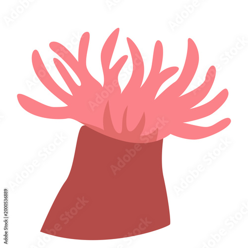 Pink sea anemone or soft coral with flowing tentacles, marine organism, underwater life, vector illustration.