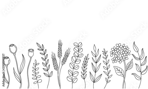 Hand drawn botanical elements and plants isolated on white.