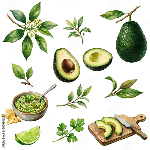 A fresh collection of healthy fruits and vegetables with green leaves isolated on a white background