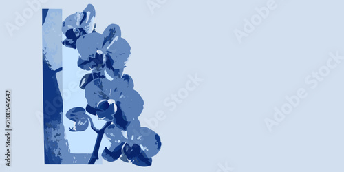monochromatic botanical illustration of orchid flowers against light blue background high quality professional detailed modern