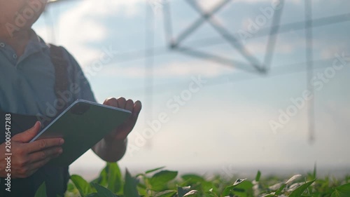 Farmer touches plants while using tablet in crop field. Worker inspects leaves with digital device. Hand examines crop while checking tablet. Farmer monitors plants touching leaves in field.