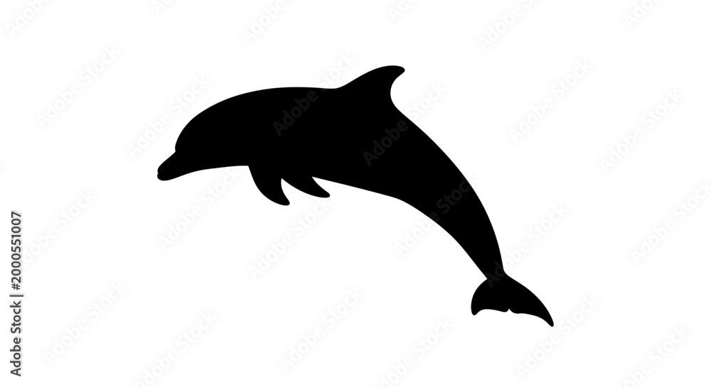 Fototapeta premium dolphin silhouette on white background high quality professional