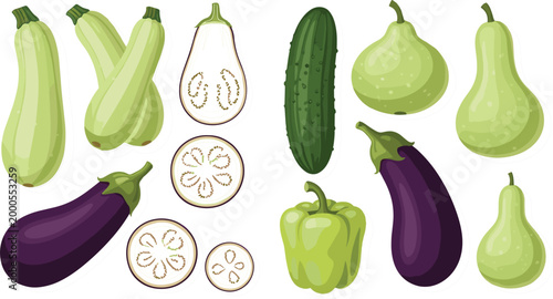 Green vegetables assortment vector illustration featuring zucchini cucumber eggplant bell pepper and gourd varieties isolated on white background in flat style