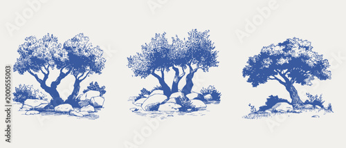 Mediterranean olive trees rocky landscape botanical sketch set. Illustrations for wallpaper and fabric, hand drawn pencil style with loose lines and soft textured shading.