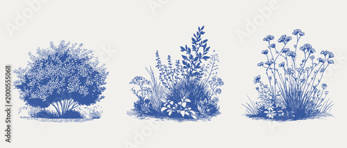 Botanical shrubs wild plants floral garden elements sketch. Illustrations for wallpaper and textile, hand drawn pencil style with fine lines and soft textured detailing.