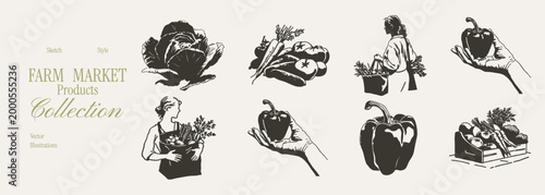 Fresh vegetables pepper cabbage farm market sketch set. Hand drawn pencil style collection with figures holding produce and single crops. Illustrations for menus and labels, with bold uneven lines.