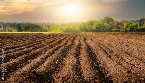 Fertile Soil Suitable For Cultivation