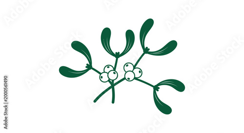 Mistletoe plant with white berries.