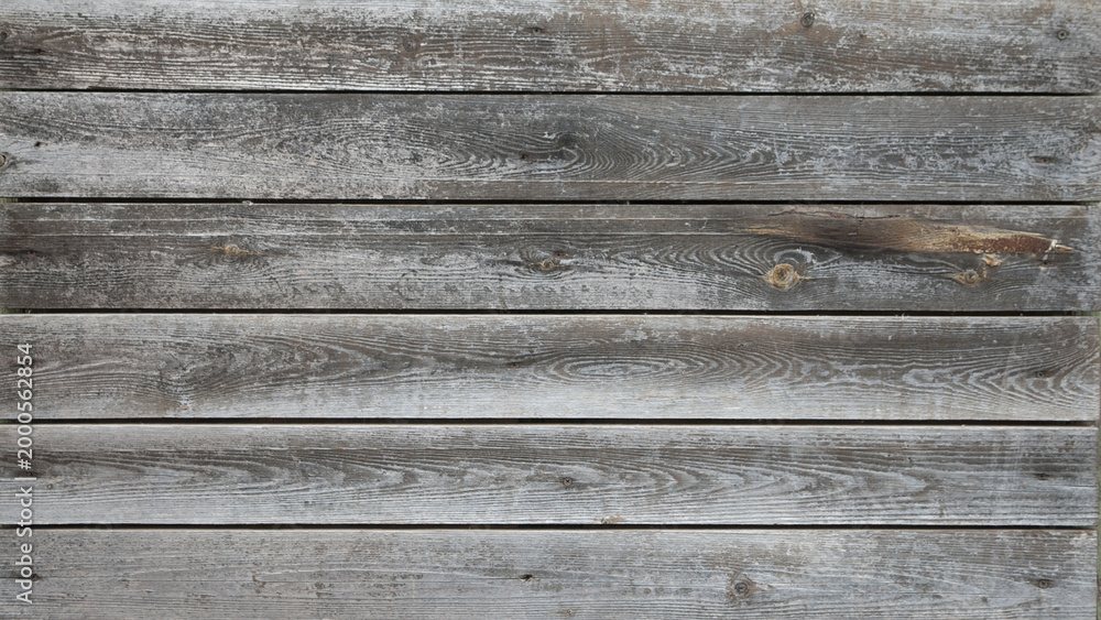Obraz premium Gray background, photo shows the texture of old gray boards