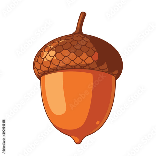 Acorn with brown cap and orange body on white background