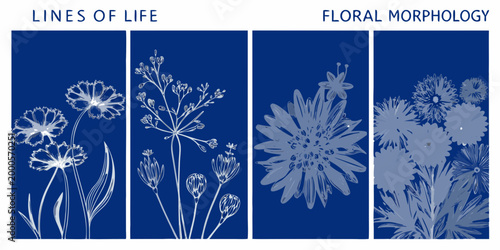 scientific posters with floral illustrations on blue background high quality professional detailed modern elegant stylish
