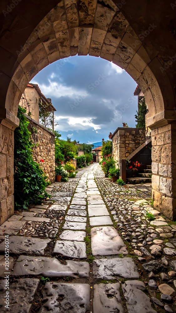 Obraz premium A stone pathway leads through an archway to a village