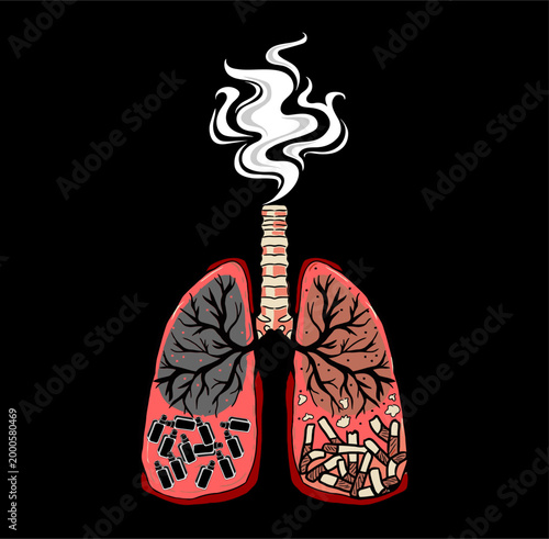 organs in humans contain cigarettes and vape