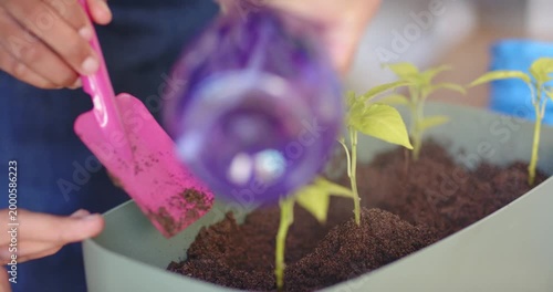 African American duo scooping planter soil with trowel, spraying bottle, tending seedlings at home