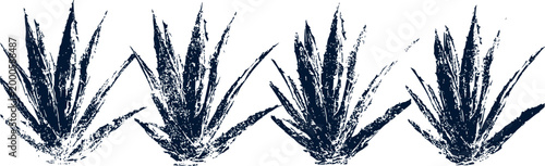 set of four spiky agave plants silhouettes in black and white isolated on white background