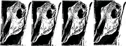 woodcut illustration of a bird skull with prominent beak and eye socket in black and white