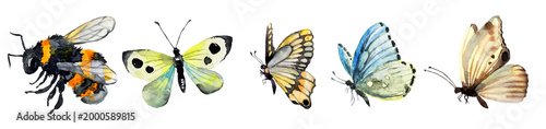 Watercolor insect clip art on an isolated background. Watercolor bumblebee, lemon butterfly, and yellow butterfly.
