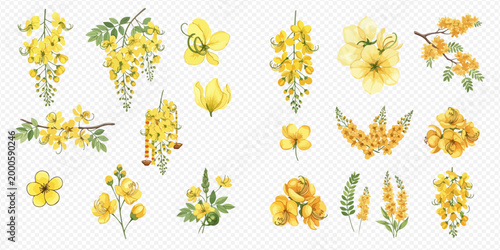 Beautiful collection of vibrant yellow flowers and leaves, perfect for spring and summer designs, showcasing various botanical elements.
