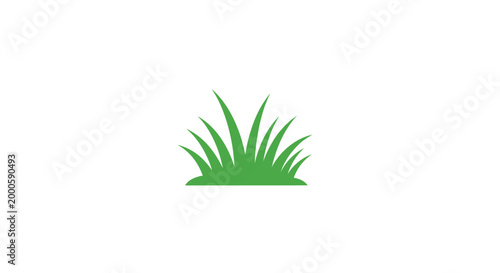 Green grass blades growing naturally outdoors.