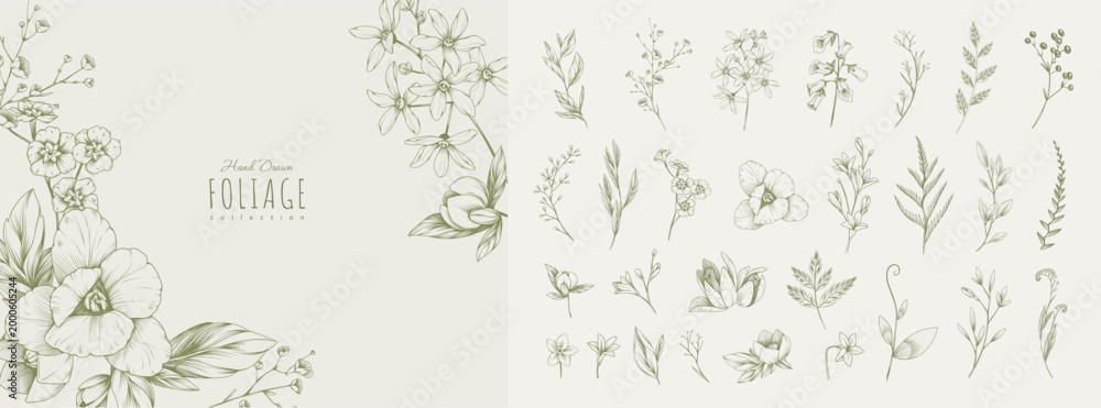 Fototapeta premium Set of detailed various flowers and foliage, intricate details and delicate forms. Hand drawn vector illustration with elegant botanical elements for invitation, save the date card