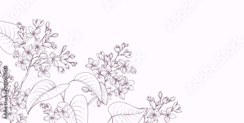 Lilac blooming. Spring background with flowers and brunch. Detailed botanic hand drawn ink illustration for Mothers Day invitation or wedding save the date
