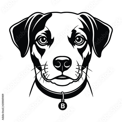Black and white dog face with collar and tag, cute pet portrait